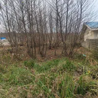 فروش-فوری-زمین-ساحلی-کاسبی