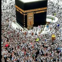 سه عدد فیش حج واجب