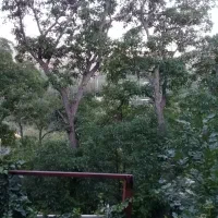 فروش-زمین-کلنگی