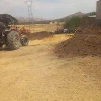 کود حیوانی سوخته