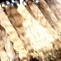 فرید فروش موهای خام و رنگی در کل استان از ۵۵سانت