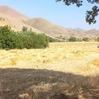 زمین-کشاورزی