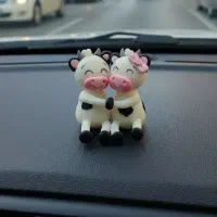 فانتزیجات|صنایع دستی و سایر لوازم تزئینی|مشهد, الهیه|دیوار