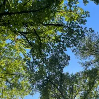 سیمکارت ۹۷۱۷-۱۷۹-۰۹۱۱