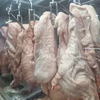 دنبه بره (نر)|خوردنی و آشامیدنی|شیراز, بریجستون|دیوار