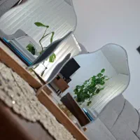 آینه دفرمه