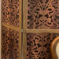 پارتیشن پاراوان