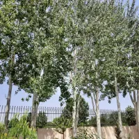 زمین-فروشی-در-کومله-معاوضه