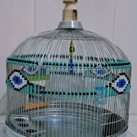 قفس طرقه کاملآ نونو