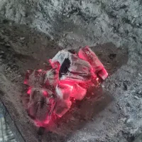 پخش عمده زغال کبابی درجه یک ۶۵ هزار تومان