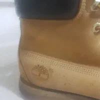 تیم برلند|کیف، کفش، کمربند|مشهد, ثامن|دیوار