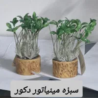 گلدان وگل مصنوعی|گل مصنوعی|شیراز, ریشمک|دیوار
