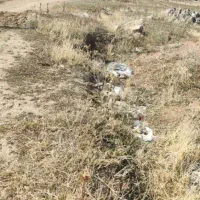 زمین های مسکونی چلبوردی