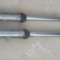 فنچ مرغ عشق عروس هلندی|پرنده|میناب, |دیوار