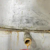 فروش عمده انواع ارده ایرانی و خارجی با سیب سلامت|خوردنی و آشامیدنی|شیراز, بازار|دیوار