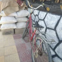 دوچرخه 24