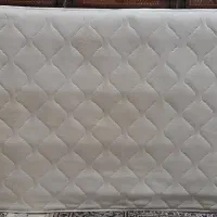 دو عدد تشک فنری