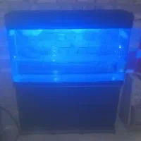 آکواریوم در حد نو|ماهی|یزد, |دیوار