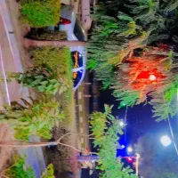 سوپر سره شاهد 53 داخل حاشیه کنار میوه فورشی|فروش مغازه و غرفه|مشهد, شاهد (شهرک غرب)|دیوار
