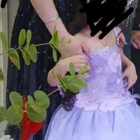 لبای مجلسی دکلته