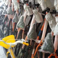 صمصامی|دوچرخه، اسکیت، اسکوتر|زاهدان, |دیوار