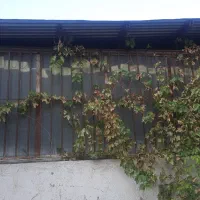حفاظ پنجره ** قوطی 2×2 تعدادی قوطی نو ابعاد ۲ در ۲