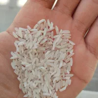 برنج پاکستانی (۵ درصد تایلندی)برند سه آ فروش عمده