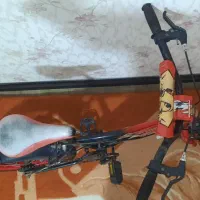 ماشین و دوچرخه|دوچرخه، اسکیت، اسکوتر|بندرعباس, |دیوار