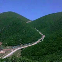 کاه یونجه