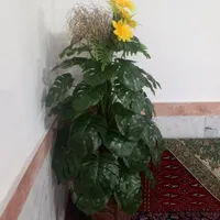 گل مصنوعی