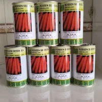 بذر هویج اصل برند هلندی Rossen Seeds