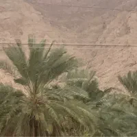 زمین-کشاورزی-معدونوئیه