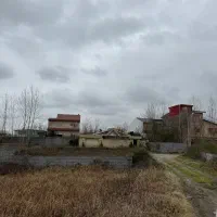 زمین ۴۵۰متری ضلع شمالی زیباکنار