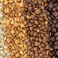 برشته کاری قهوه و سانتوس