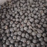 ولیک عالی و تمیز،