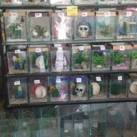 اکواریم مینی از تنگ های عید محکم تر