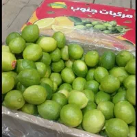 آبلیمو طبیعی کیفیت اصیل