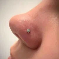 پرسینگ +هدیه