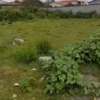 12000متر-زمین-مناسب-شهرک-سازی-در-محمودآباد