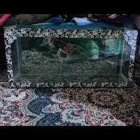 آکواریوم.معاوضه با انگشتر ساعت جی شاک قناری عروس..