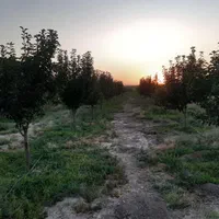 فروش زمین ۱۵۰۰ متری در چشمه گیلاس|فروش زمین و ملک کلنگی|مشهد, بهاران|دیوار