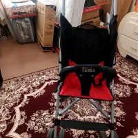 کالسکه عصایی دلیجان