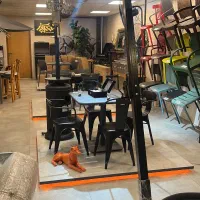 شاگرد جوان فنی