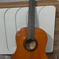 گیتار والنسیا cg160