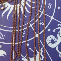 رودراکشا|زیورآلات و اکسسوری|رشت, چله خانه|دیوار