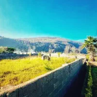 ویو جنگل ٪نزدیک دریا٪ سندتک برگ