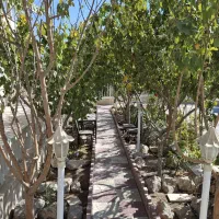 اجاره روزانه خونه باغ ویلایی سنتی|اجارهٔ کوتاهمدت ویلا و باغ|دماوند, دماوند|دیوار