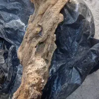 استفراغ نهنگ عنبر ونهنگ شهب|آرایشی، بهداشتی، درمانی|هندیجان, |دیوار