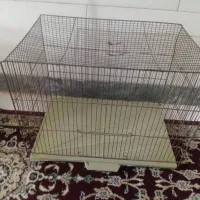 قفس