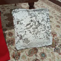 کوسن دو عدد می‌باشد